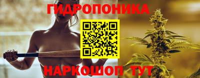 ECSTASY Аргун