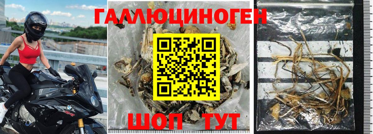Воронеж  Галлюциногенные грибы мицелий  Вход с VPN 