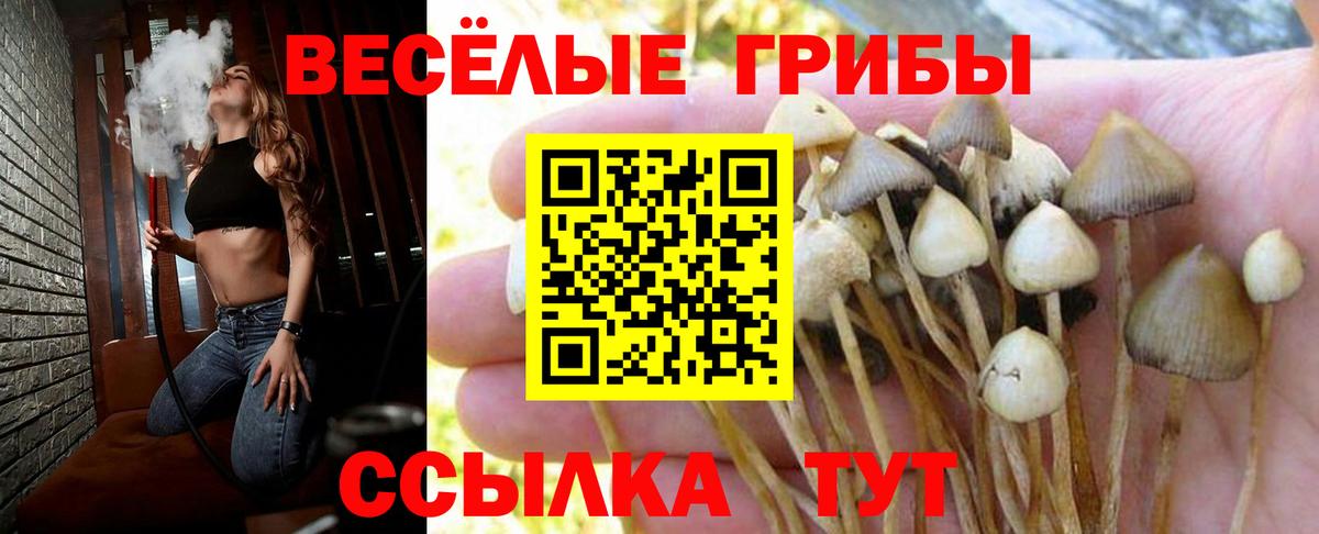 Галлюциногенные грибы прущие грибы Воронеж